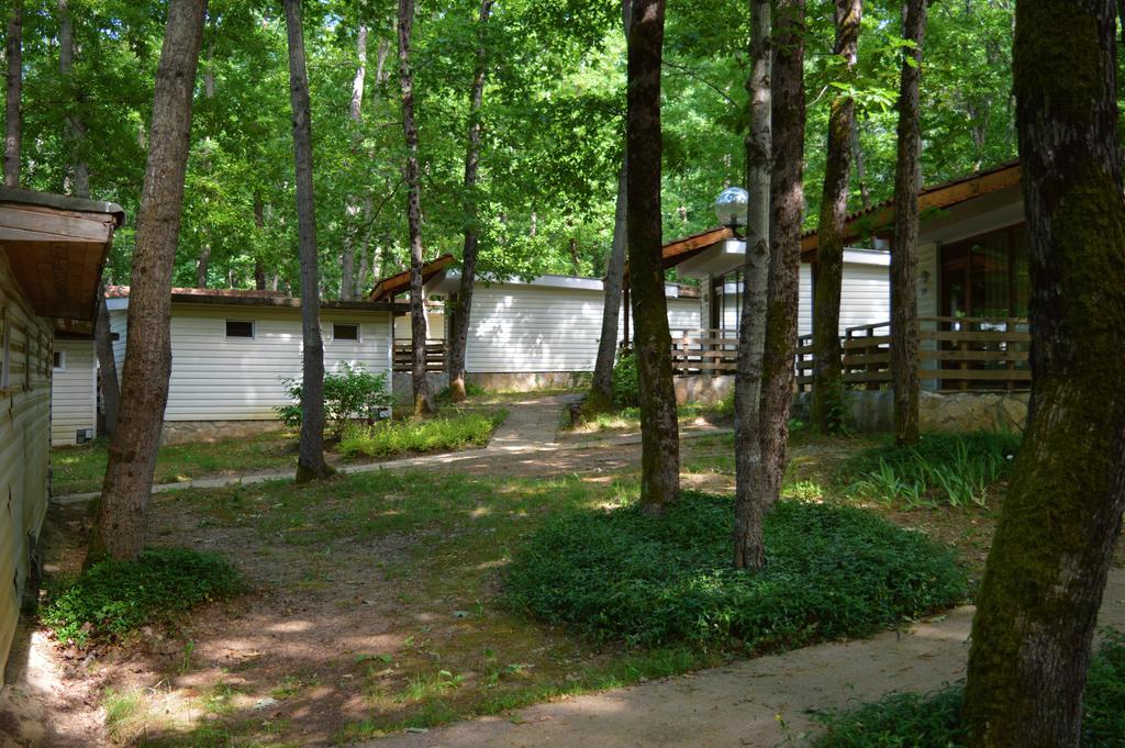 Villas Holidays Primorsko Exteriör bild